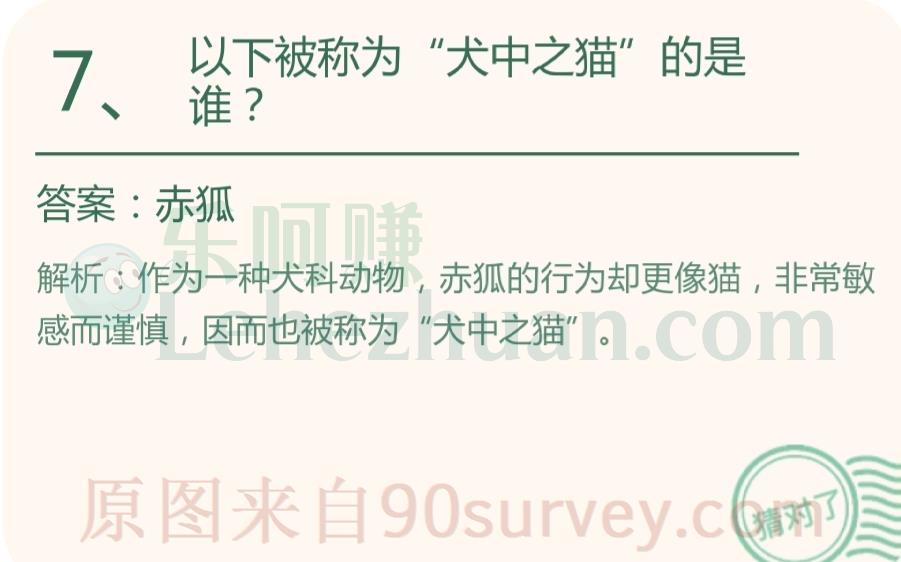 以下被称为“犬中之猫”的是谁?