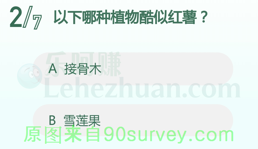 以下哪种植物酷似红薯？