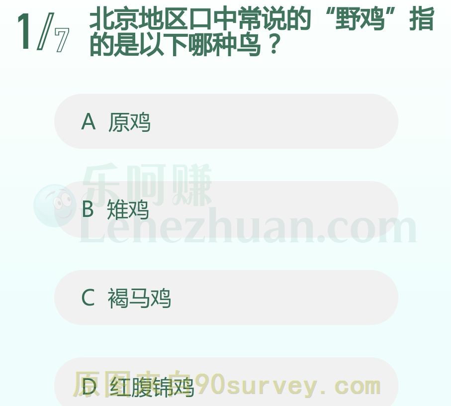 北京地区口中常说的“野鸡”指的是以下哪种鸟?