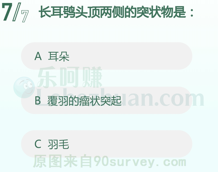 长耳鸮头顶两侧的突状物是？