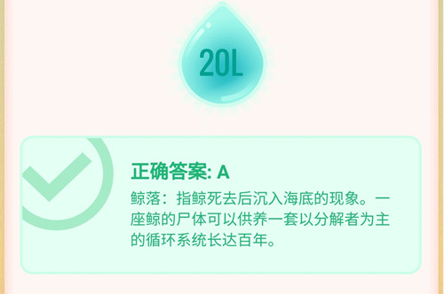 鲸鱼死后沉入海底被称为什么?答案:鲸落 鲸鱼死后沉入海底被称为什么?答案:鲸落