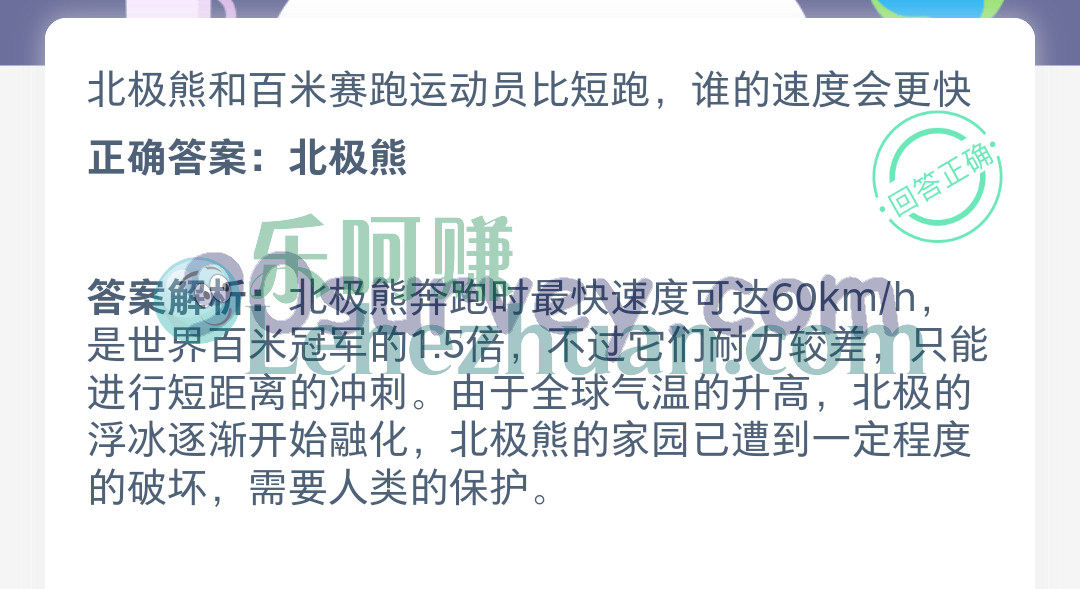 北极熊和百米赛跑运动员比短跑，谁的速度会更快？