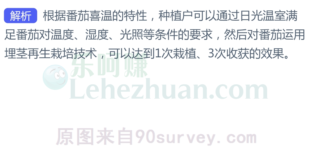 大棚番茄能做到1次栽植、3次收获,是通过?