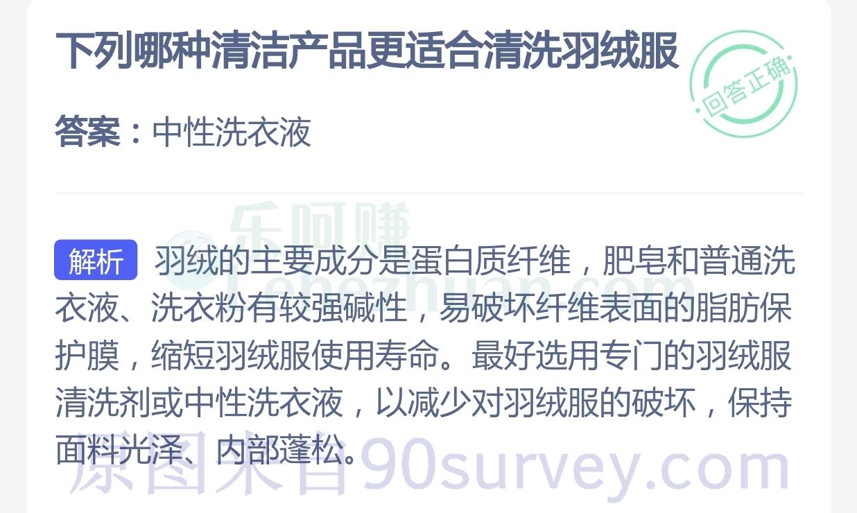 下列哪种清洁产品更适合清洗羽绒服？