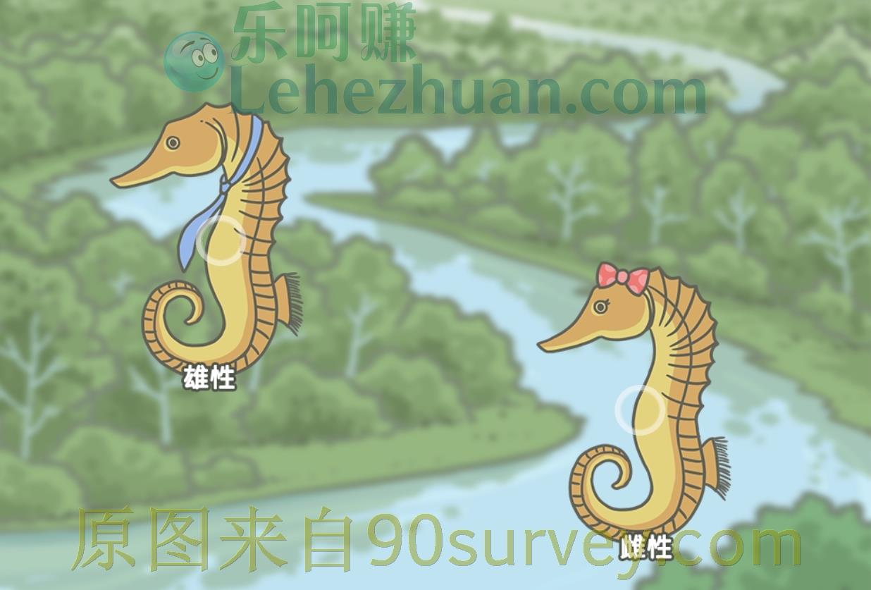 在海马家族中，谁负责孕育后代？
