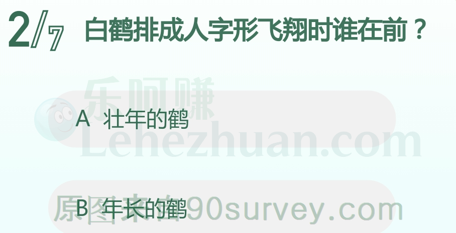 白鹤排成人字形飞翔时谁在前?