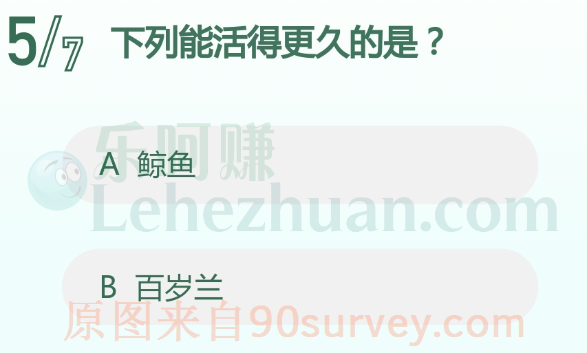 花中寿星是百岁兰 花中寿星是百岁兰