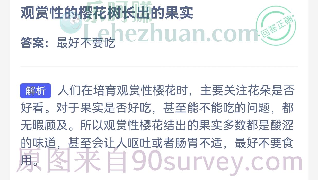 观赏性的樱花树长出的果实可以吃吗?答案:最好不要吃 观赏性的樱花树长出的果实可以吃吗?答案:最好不要吃