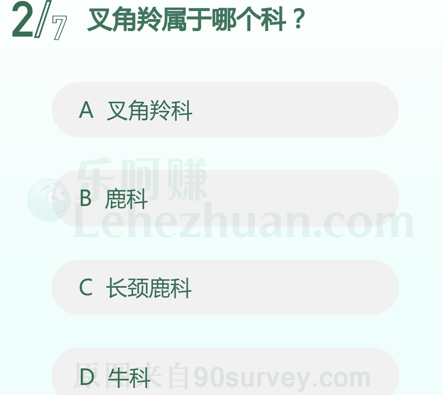叉角羚属于哪个科？