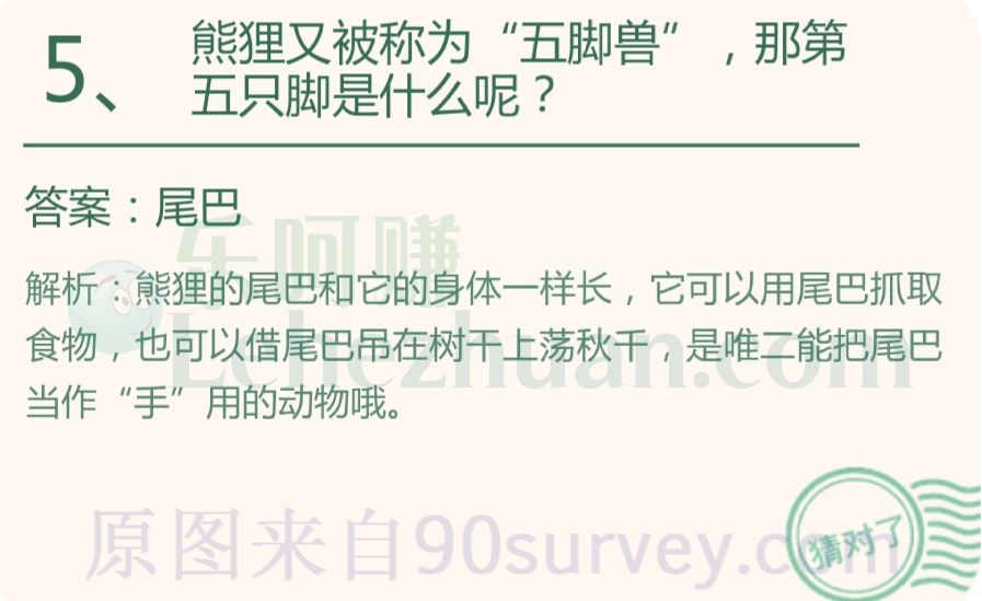 熊狸又被称为“五脚兽”，那第五只脚是什么呢？