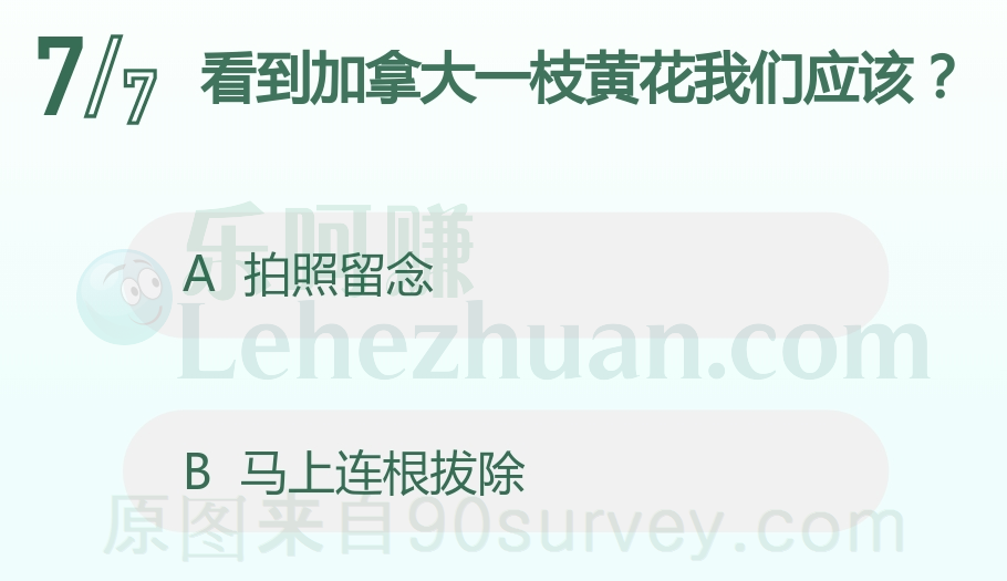 看到加拿大一枝黄花我们应该？