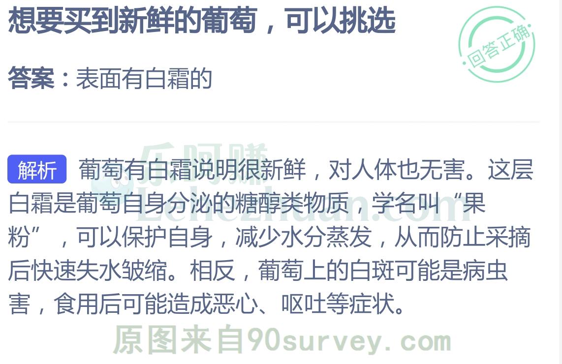 想要买到新鲜的葡萄,可以挑选?