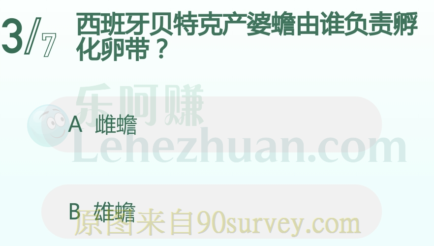 西班牙贝特克产婆蟾由谁负责孵化卵带？