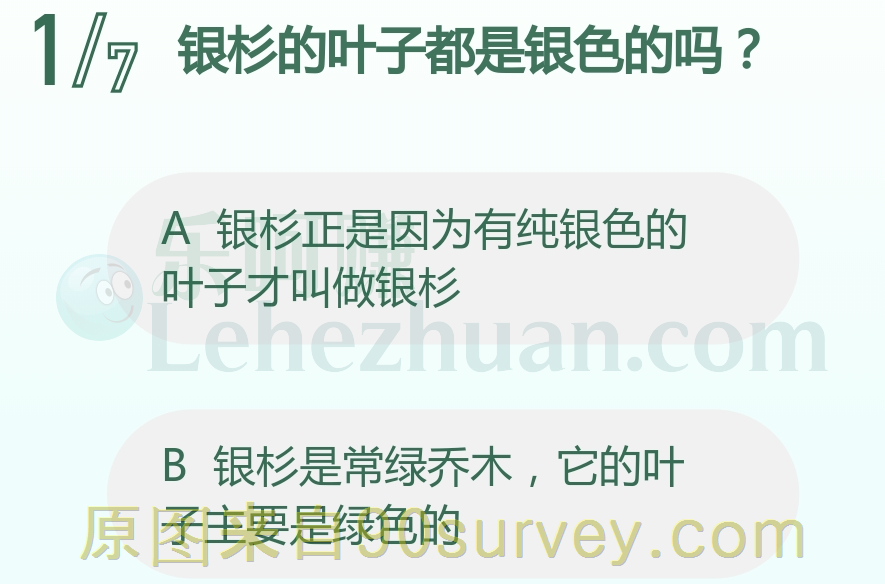 银杉的叶子都是银色的吗？