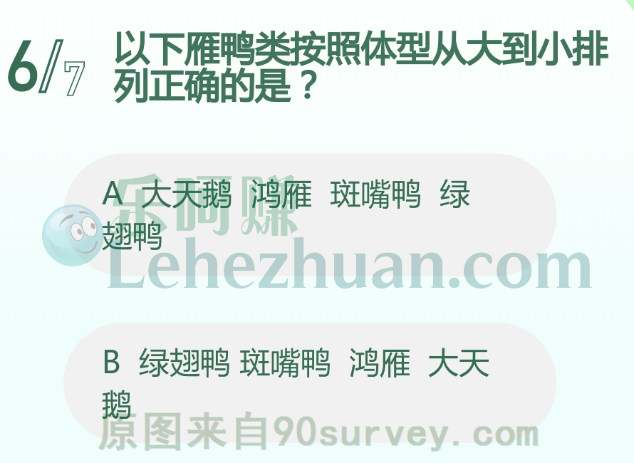 以下雁鸭类按照体型从大到小排列正确的是?