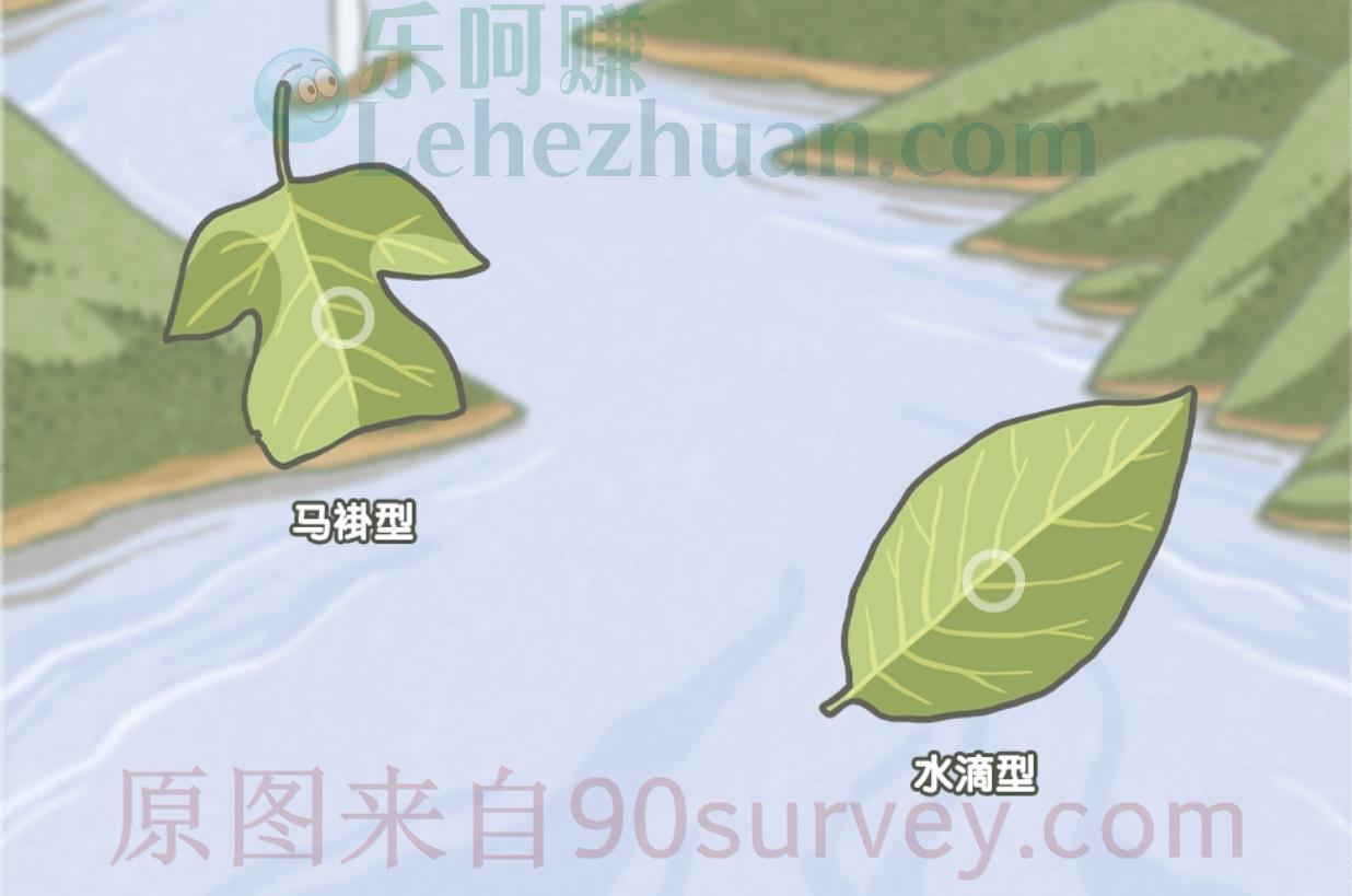 下列哪种是鹅掌楸的叶？答案：马褂形的叶子