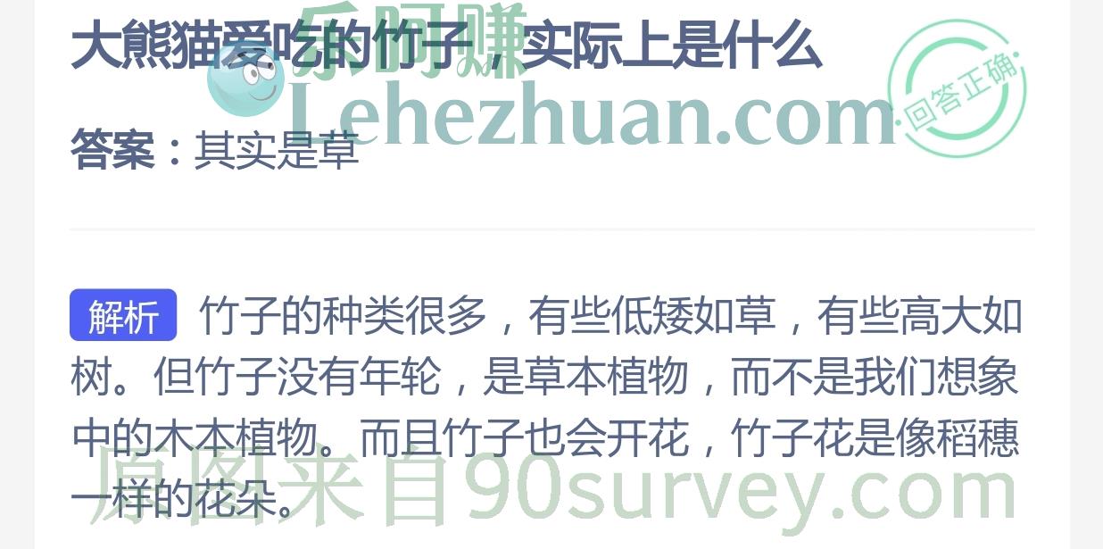 大熊猫爱吃的竹子实际上是什么?答案:其实是草 大熊猫爱吃的竹子实际上是什么?答案:其实是草