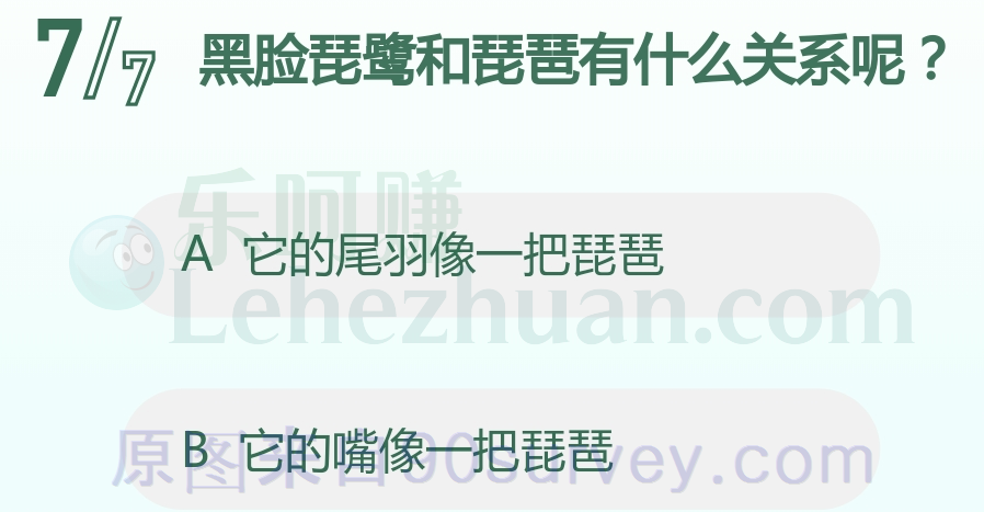 黑脸琵鹭和琵琶有什么关系呢?