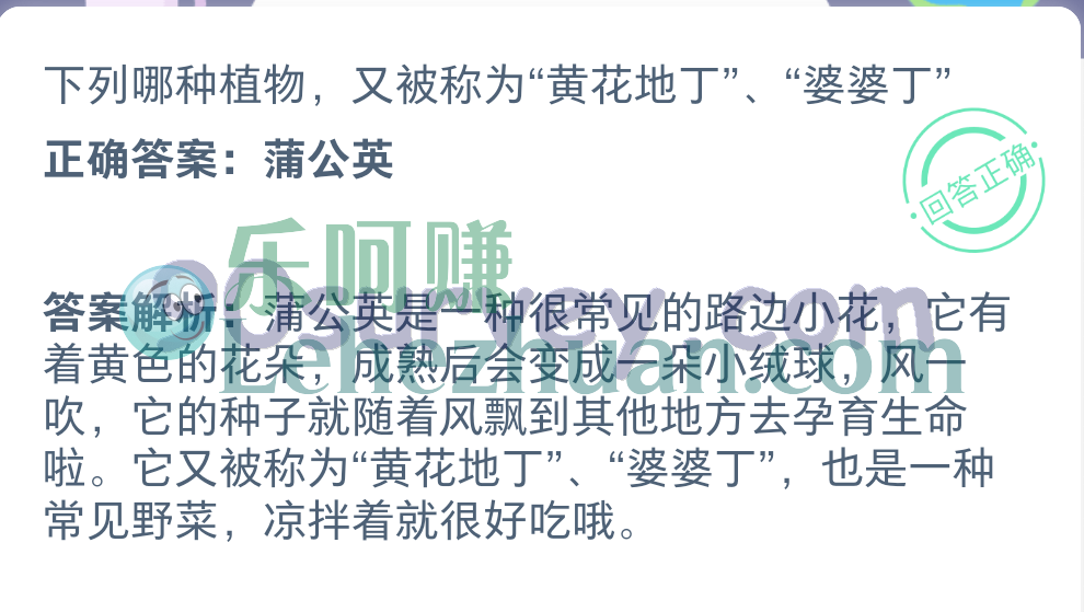 哪种植物又被称为黄花地丁婆婆丁 哪种植物又被称为黄花地丁婆婆丁