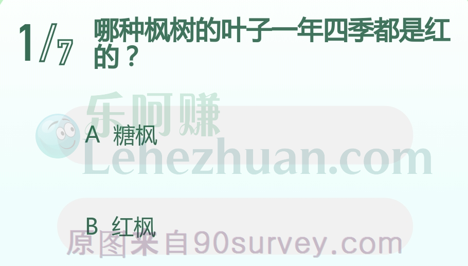 哪种枫树的叶子一年四季都是红的?