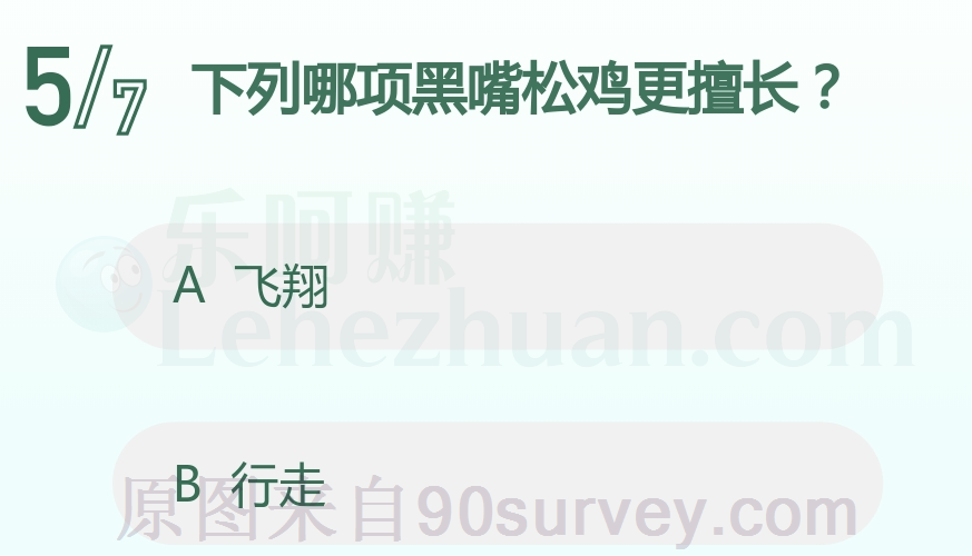 下列哪项黑嘴松鸡更擅长？