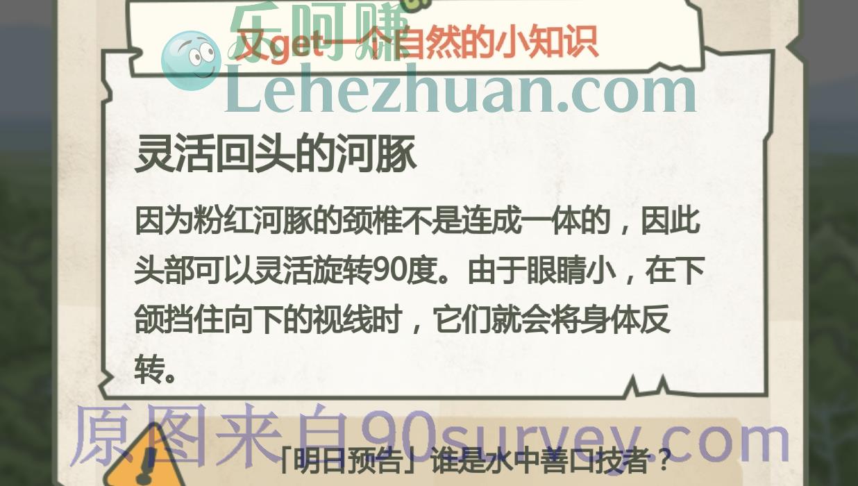 粉红河豚为什么可以“回眸一笑”?