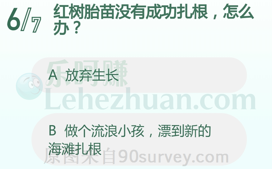 红树胎苗没有成功扎根怎么办?
