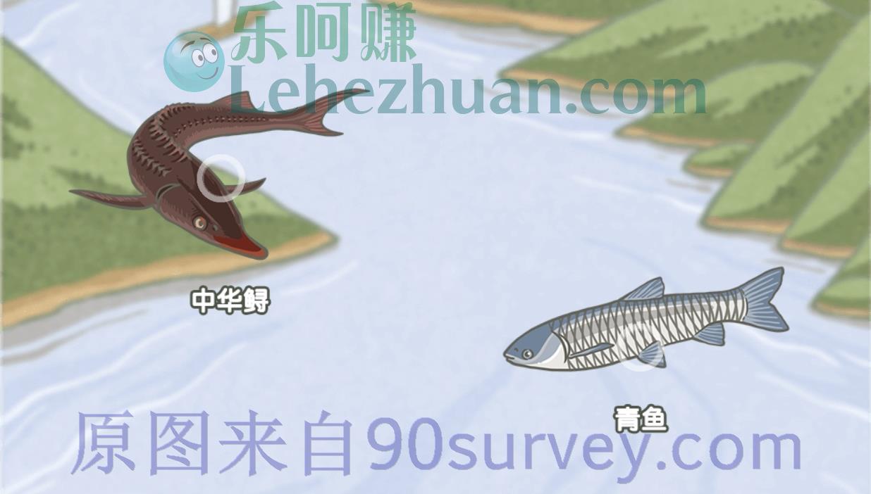 哪种鱼类被称为“水中的活化石”,曾和恐龙生活在同一时代?答案:中华鲟 哪种鱼类被称为“水中的活化石”,曾和恐龙生活在同一时代?答案:中华鲟