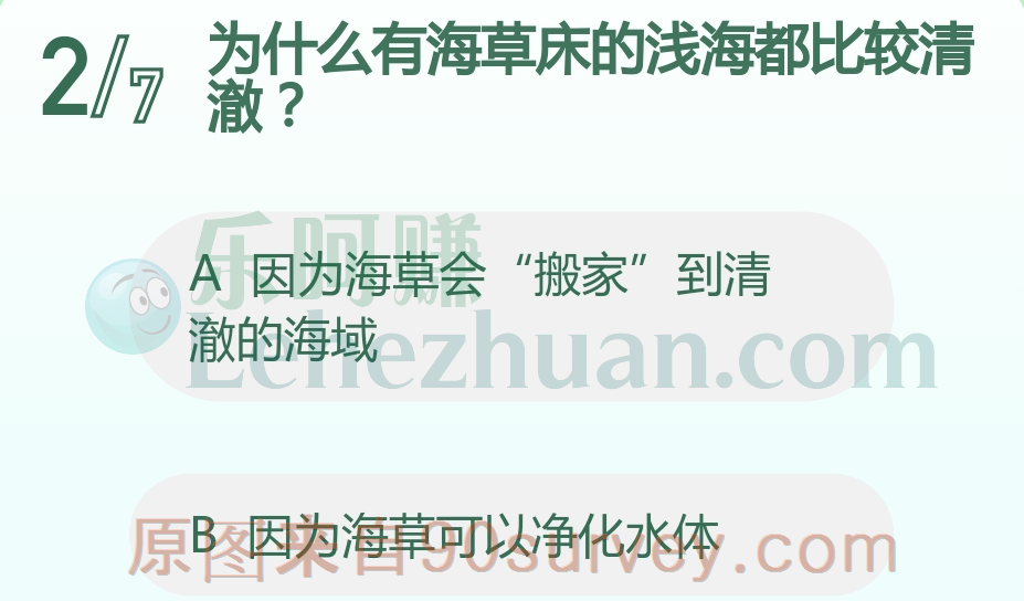 为什么有海草床的浅海都比较清澈?