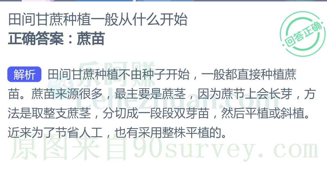 田间甘蔗种植一般从什么开始?
