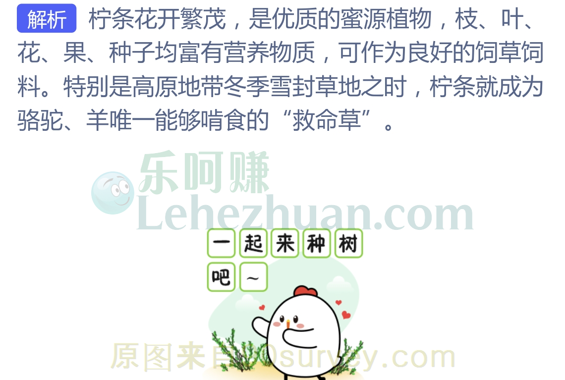 以下哪种植物是冬季雪封草地时动物的“救命草“?