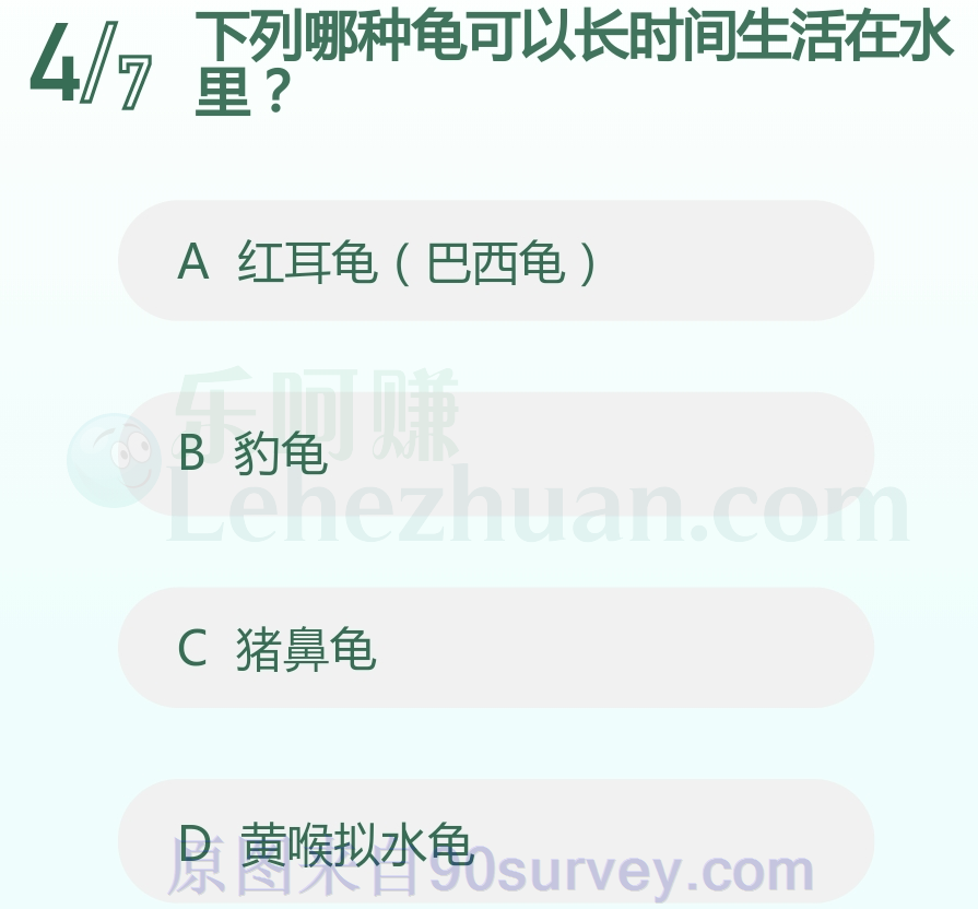 下列哪种龟可以长时间生活在水里？