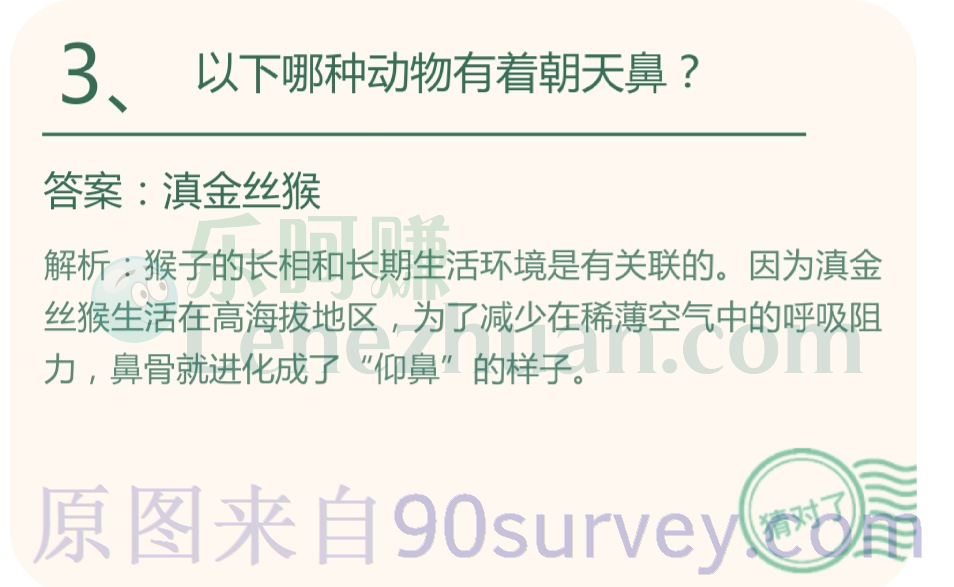 以下哪种动物有着朝天鼻?