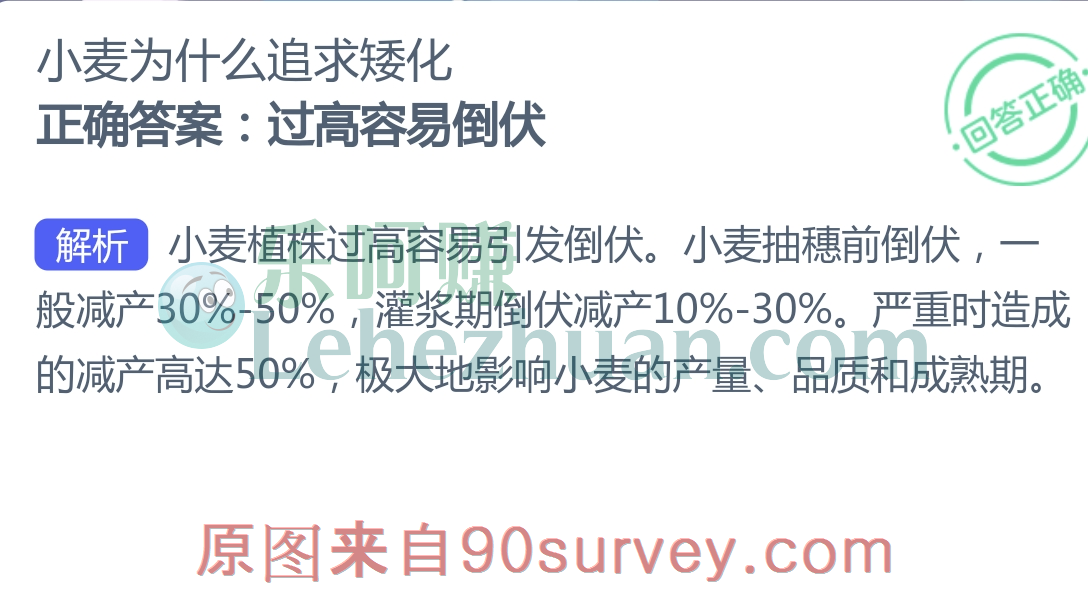 小麦为什么追求矮化？