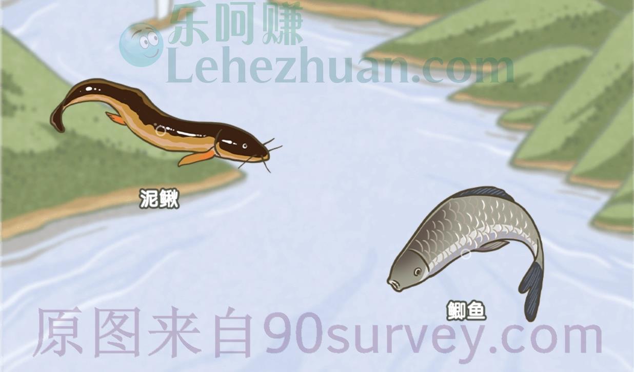 除了鳃,还能用肠道呼吸的鱼是?