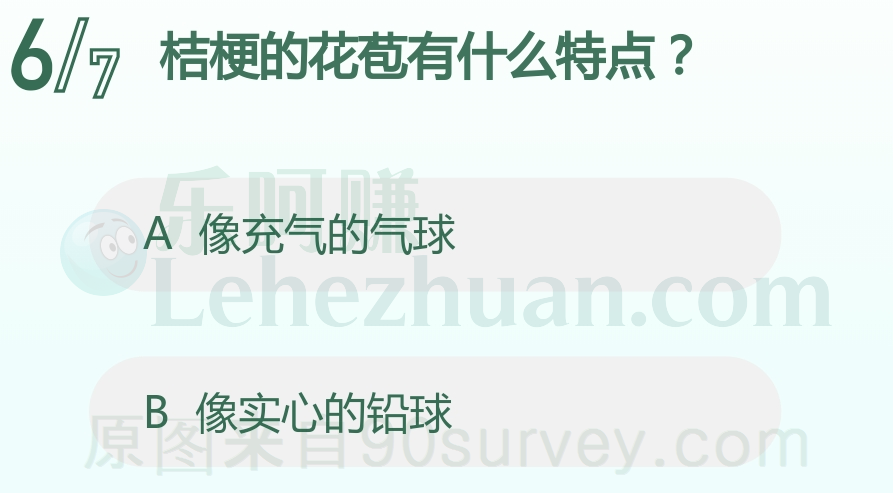 桔梗的花苞有什么特点？