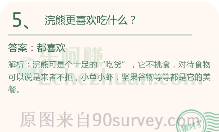 浣熊喜欢吃什么？