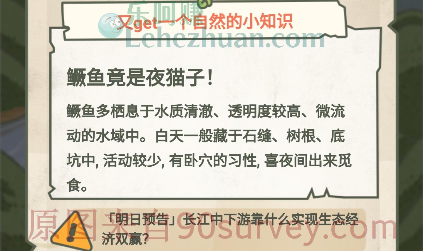 鳜鱼竟是夜猫子