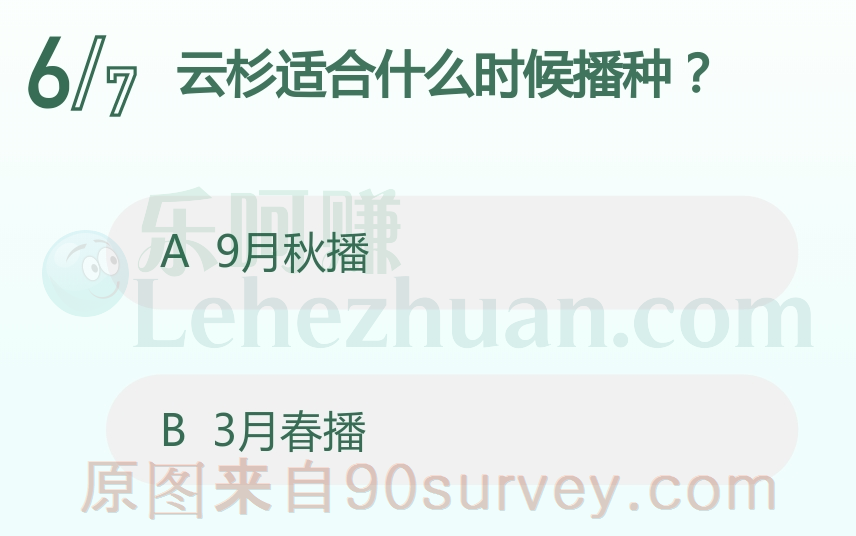 云杉适合什么时候播种？