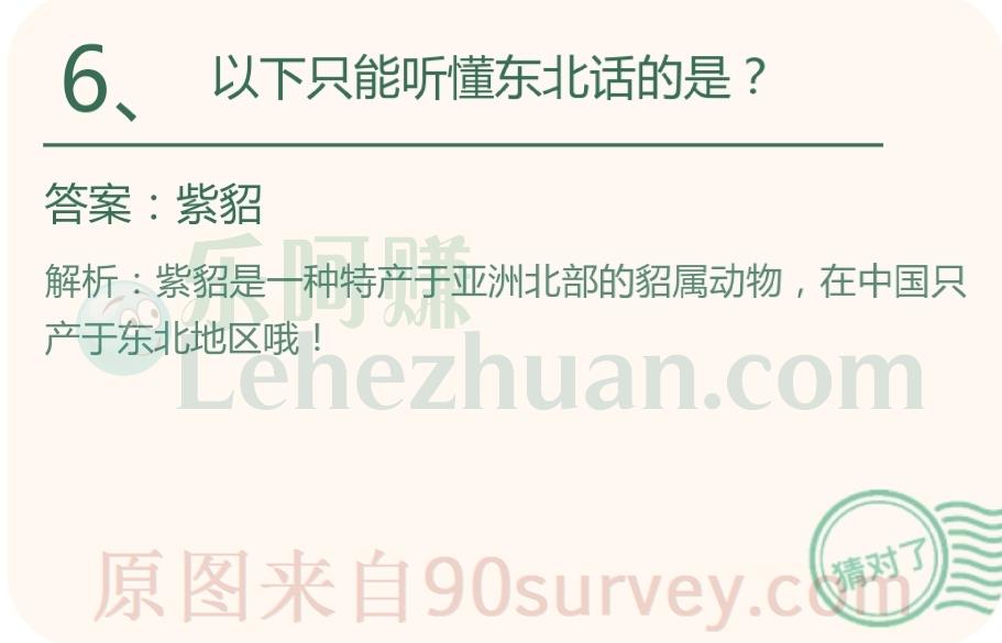 以下只能听懂东北话的是？