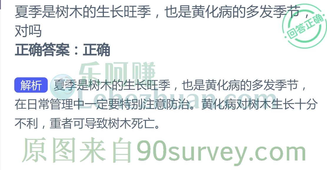夏季是树木的生长旺季,也是黄化病的多发季节对吗?