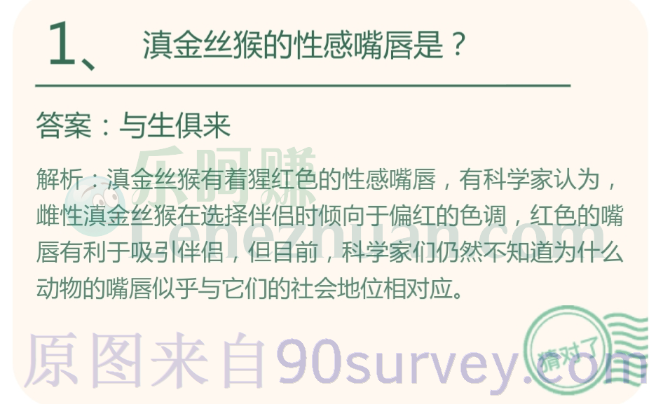 滇金丝猴的性感嘴唇是?