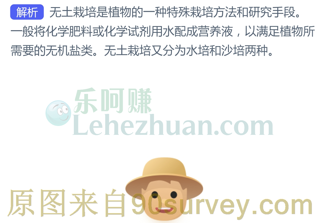无土栽培分为水培和什么?