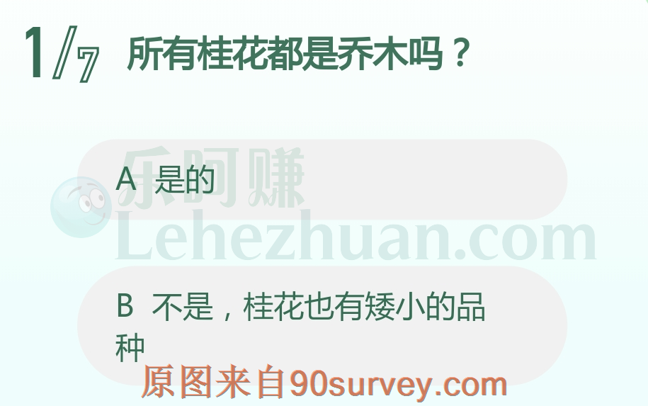 桂花也有矮小的品种