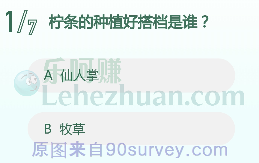柠条的种植好搭档是谁?