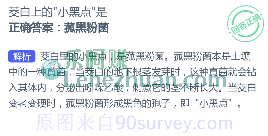 茭白上的小黑点是什么?