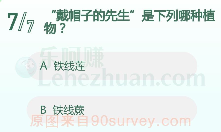 戴帽子的先生是铁线莲 戴帽子的先生是铁线莲