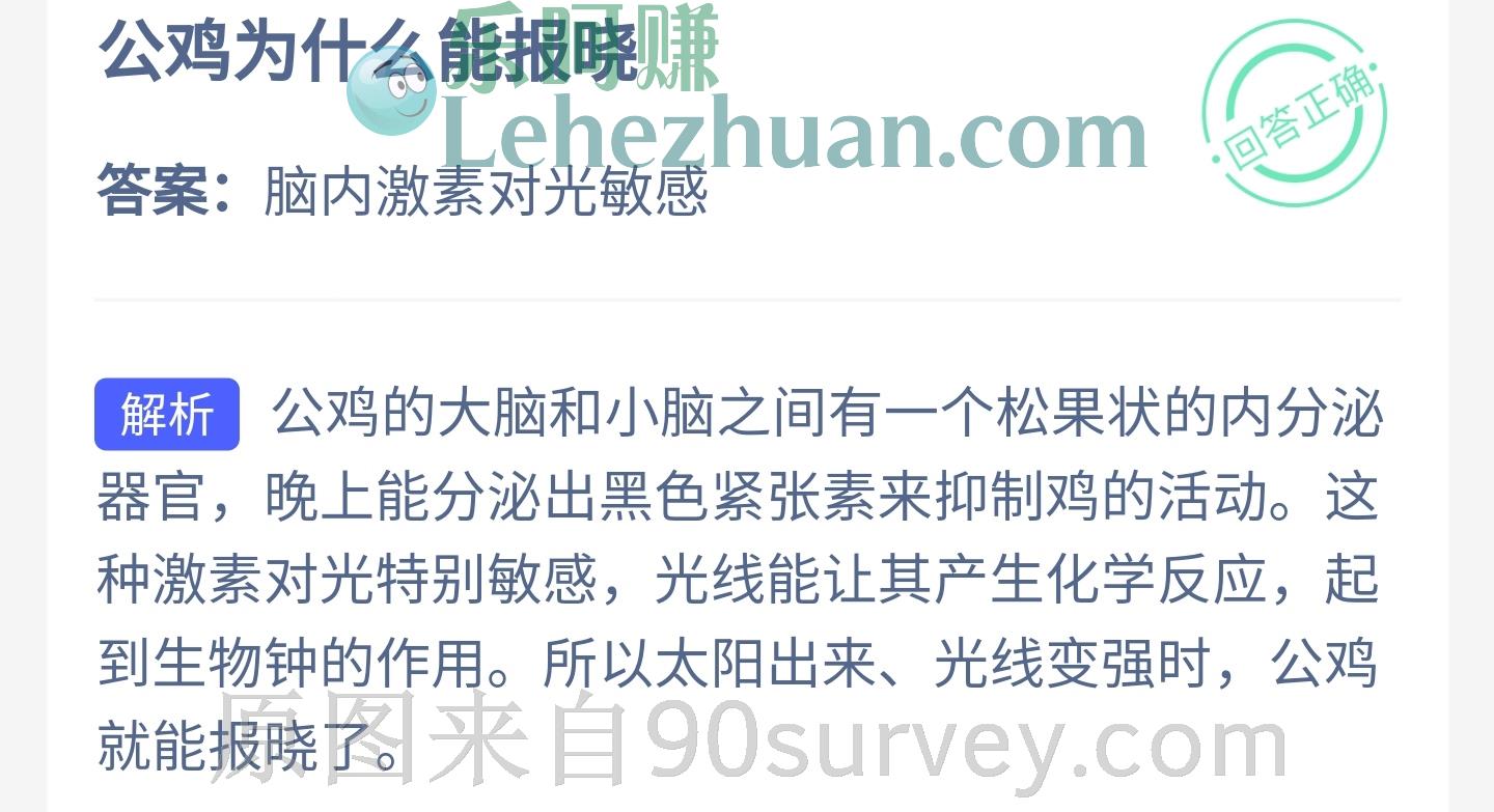 公鸡为什么能报晓