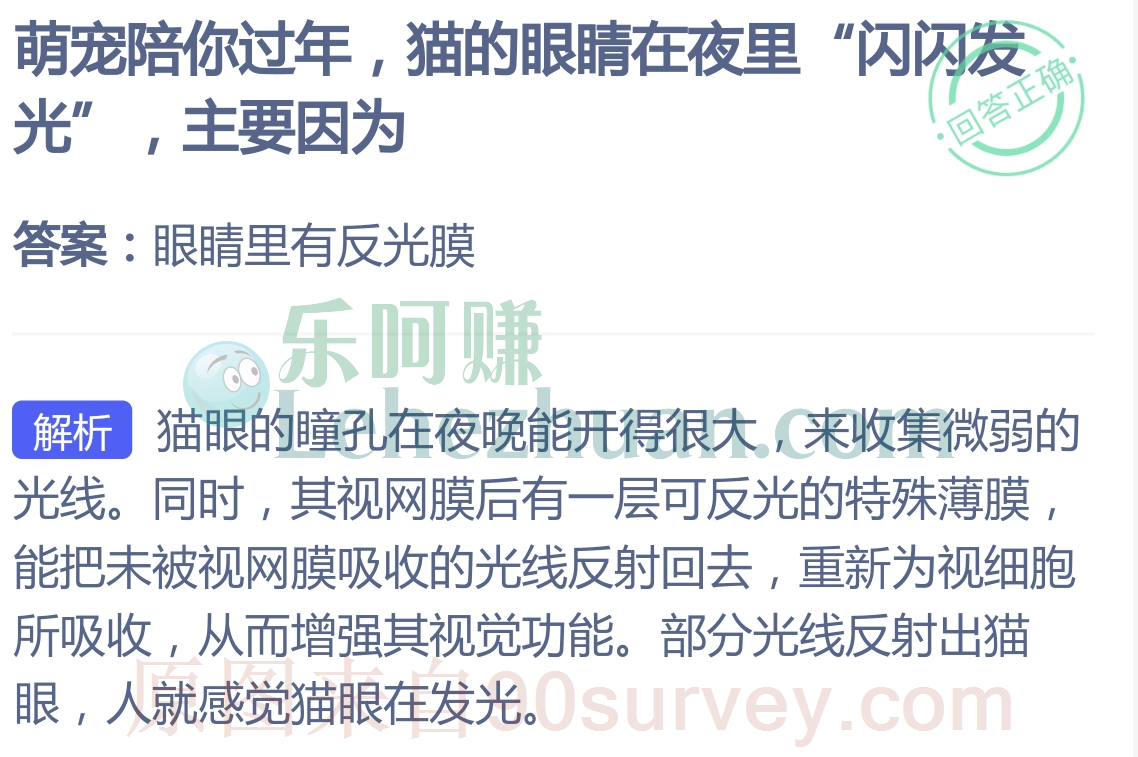 猫的眼睛在夜里"闪闪发光”,主要因为?