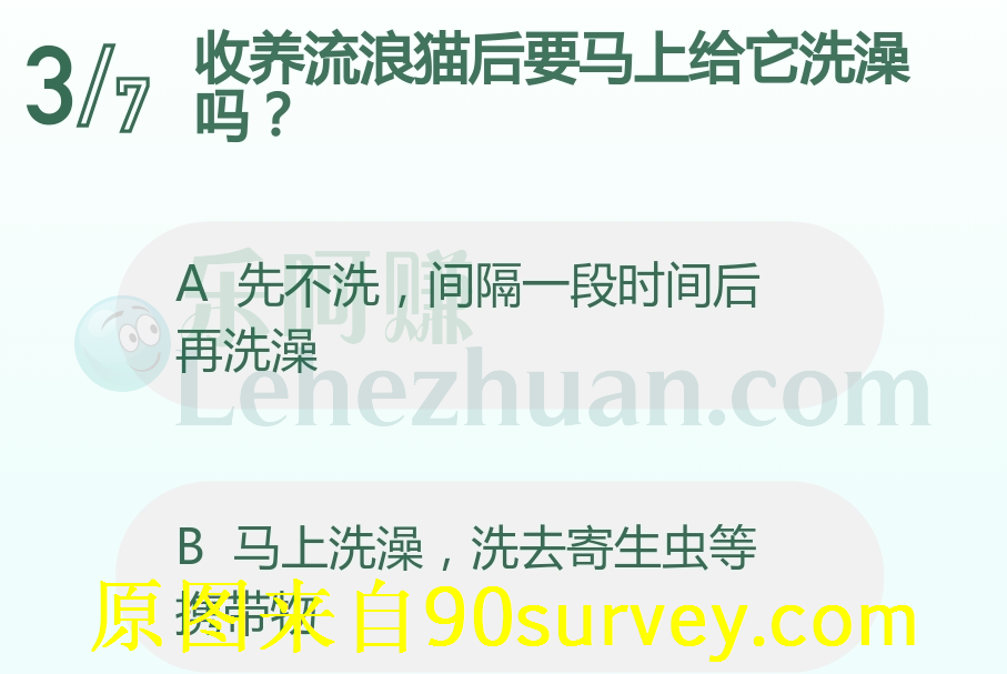 收养流浪猫后要马上给它洗澡吗?